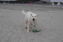 Keona bekommt wieder mal nicht genug